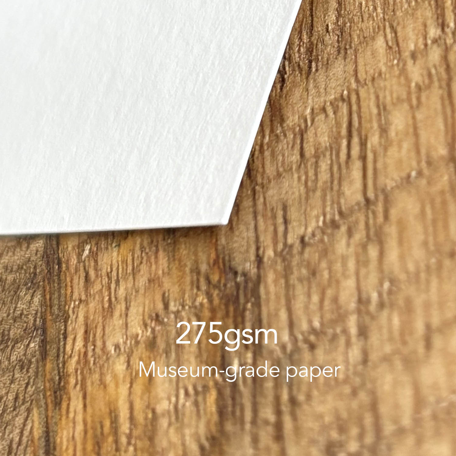 A Peculiar Rose – Fine Art Print (Open Edition) - Image 4